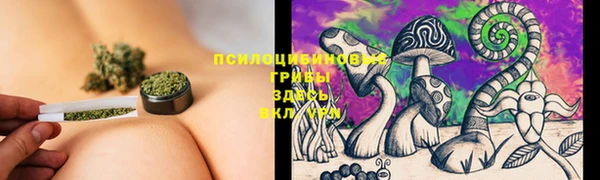 a pvp Бронницы
