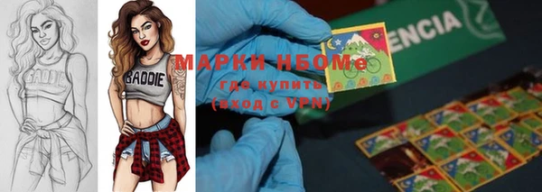 гидропоника Бородино