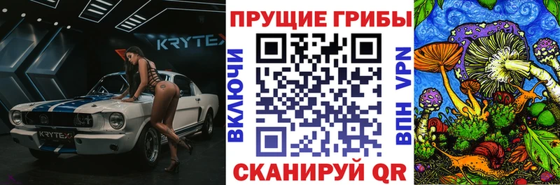 наркота  Константиновск  Галлюциногенные грибы Psilocybine cubensis 